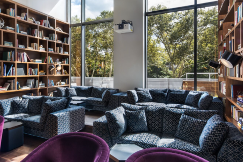 couches surrounded by book shelves